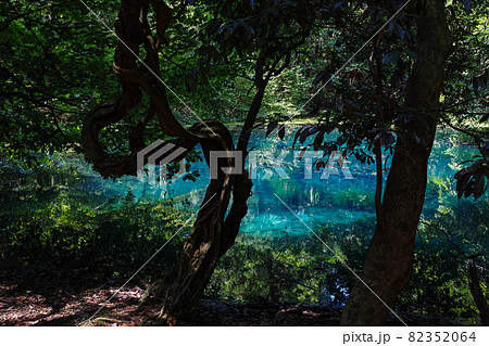 山形県/ 神秘の泉「丸池様」 82352064