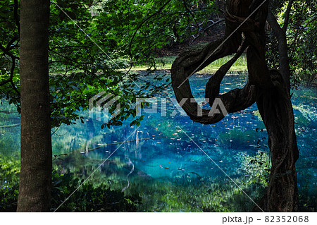 山形県/ 神秘の泉「丸池様」 82352068