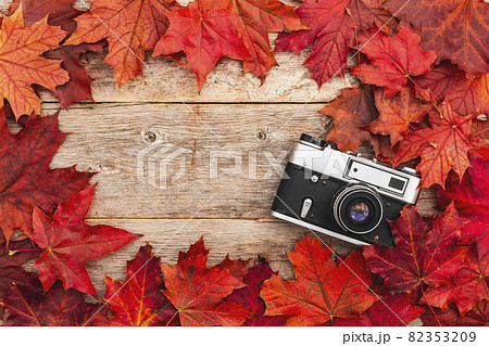 Old camera and red autumn leaves 82353209
