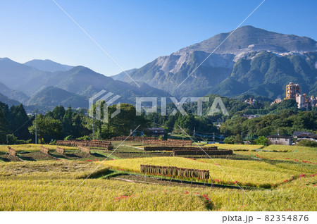 武甲山がそびえ立つ寺坂棚田の風景《秩父郡》 武甲山がそびえ立つ寺坂棚田の風景《秩父郡》 82354876