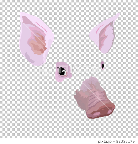 小豬臉圖背景透明 小豬臉圖背景透明 82355179