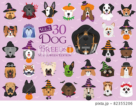 Set of 30 dog breeds with Halloween costumes. Set 2 Set of 30 dog breeds with Halloween costumes. Set 2 82355206