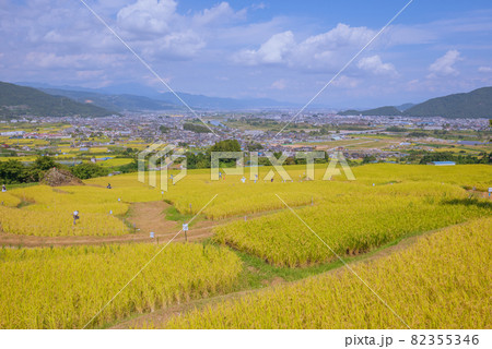 【秋】名勝・姨捨(田毎の月)姪石地区【善光寺平の眺望】 【秋】名勝・姨捨(田毎の月)姪石地区【善光寺平の眺望】 82355346