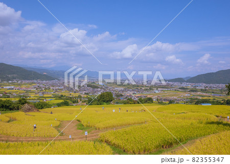 【秋】名勝・姨捨（田毎の月）姪石地区【善光寺平の眺望】 82355347