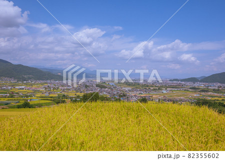 【秋】名勝・姨捨（田毎の月）姪石地区【善光寺平の眺望】 82355602