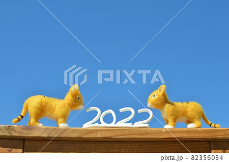 青空の下の羊毛フェルトのトラ 2022年用 青空の下の羊毛フェルトのトラ 2022年用 82356034