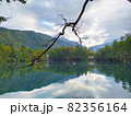 Dead tree branch on a mountain lake 82356164