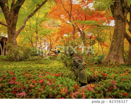 【京都】圓光寺の紅葉 地蔵と苔 【京都】圓光寺の紅葉 地蔵と苔 82356327