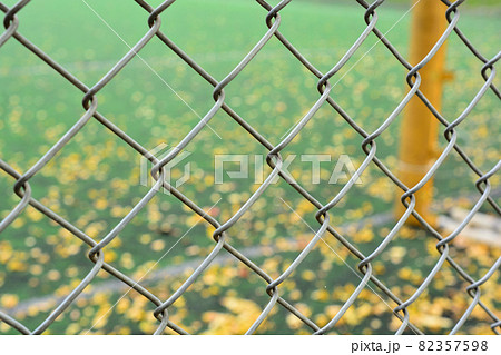 フェンスとゴールポールと落ち葉の写真素材