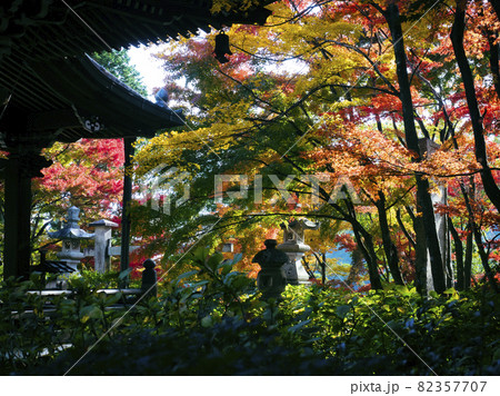 【京都】楊谷寺の紅葉 【京都】楊谷寺の紅葉 82357707