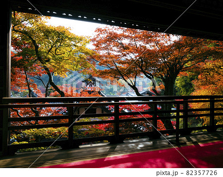 【京都】楊谷寺の紅葉 上書院 【京都】楊谷寺の紅葉 上書院 82357726