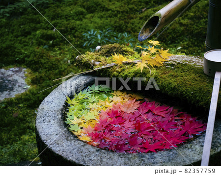 【京都】楊谷寺の紅葉 花手水 【京都】楊谷寺の紅葉 花手水 82357759