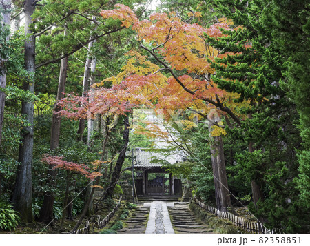 鎌倉・秋の寿福寺　参道 82358851
