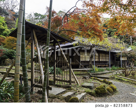 鎌倉・英勝寺　書院と紅葉 82358873