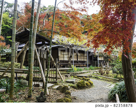 鎌倉・英勝寺　書院と紅葉 82358878