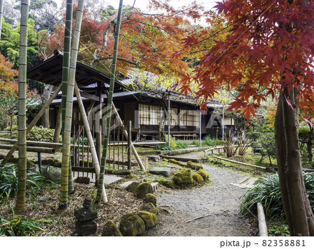 鎌倉・英勝寺　書院と紅葉 82358881