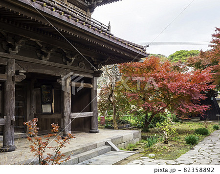 鎌倉・英勝寺　山門と紅葉 82358892