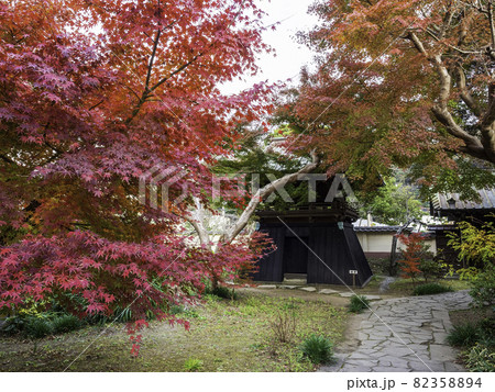 鎌倉・英勝寺　鐘楼と紅葉 82358894