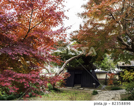 鎌倉・英勝寺 鐘楼と紅葉 鎌倉・英勝寺 鐘楼と紅葉 82358896