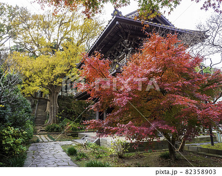 鎌倉・英勝寺　山門と紅葉 82358903