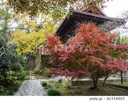 鎌倉・英勝寺 山門と紅葉 鎌倉・英勝寺 山門と紅葉 82358905
