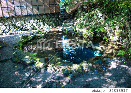 忍野八海のお釜池 忍野八海のお釜池 82358937