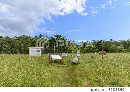 道東の岬 落石岬と灯台 道東の岬 落石岬と灯台 82358994