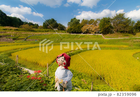 秋の明日香村の光景 案山子ロード 奈良県明日香村稲渕 秋の明日香村の光景 案山子ロード 奈良県明日香村稲渕 82359096