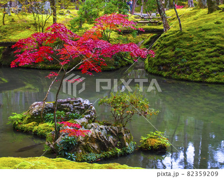 【京都】西芳寺の苔と紅葉 【京都】西芳寺の苔と紅葉 82359209