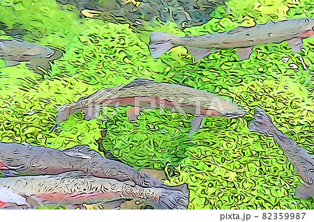 パステル調 水中 ニジマス 湧水 魚 イラストイメージのイラスト素材