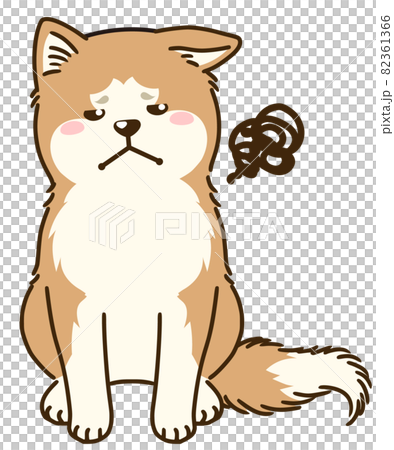 秋田犬看向別處 82361366