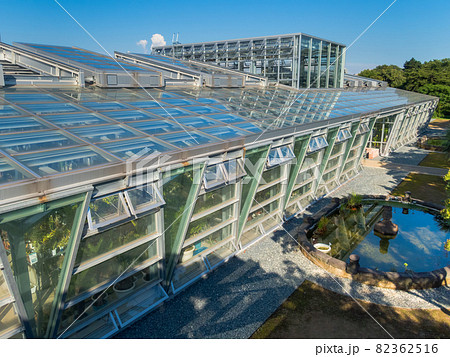 小石川植物園 温室 82362516