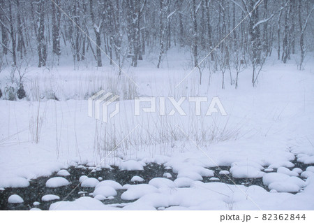 雪の小川と森 雪の小川と森 82362844