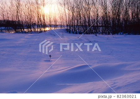 雪の草原と太陽の光 雪の草原と太陽の光 82363021