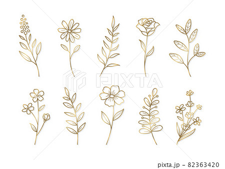 花の装飾用のイラスト デザインやグラフィック用の素材 ベクターイラストのセット 金色の線画 花の装飾用のイラスト デザインやグラフィック用の素材 ベクターイラストのセット 金色の線画 82363420
