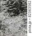 初雪の積もった木の枝 82363562