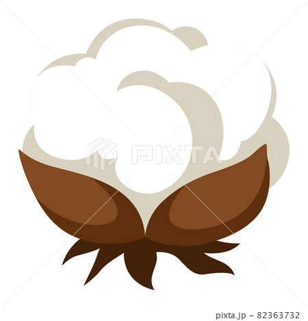 Stylized Illustration Of Cotton Inflorescence のイラスト素材
