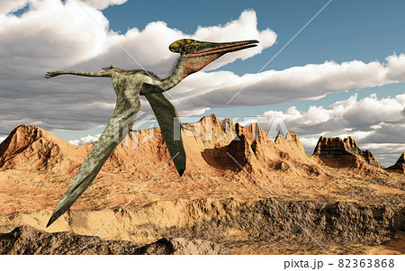 Pterosaur Pterodactylus flying over a landscape Pterosaur Pterodactylus flying over a landscape 82363868
