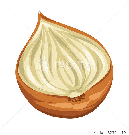 Stylized illustration of onion. Image for design or decoration. 82364150