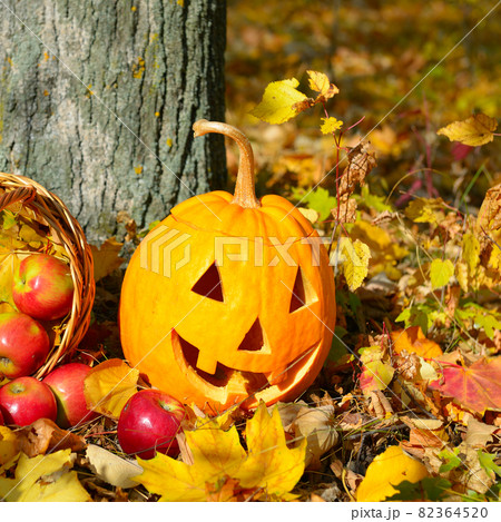 Halloween pumpkin head on a stump in front of forest background. Celebration theme, text space. Halloween pumpkin head on a stump in front of forest background. Celebration theme, text space. 82364520