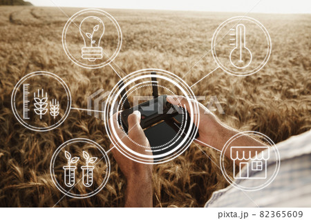 Man farmer standing in wheat field and controlling drone. Technologies in agriculture concept 82365609