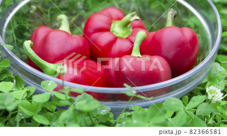 Sweet red peppers in a glass basket on green grass. Vegetables for vegans. The red sweet bell pepper, good for health. 82366581