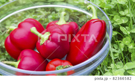 Sweet red peppers in a glass basket on green grass. Vegetables for vegans. The red sweet bell pepper, good for health. Sweet red peppers in a glass basket on green grass. Vegetables for vegans. The red sweet bell pepper, good for health. 82366582