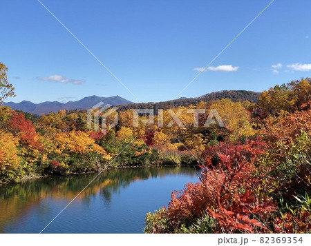 大雪高原沼 登山道紅葉風景 大雪高原沼 登山道紅葉風景 82369354