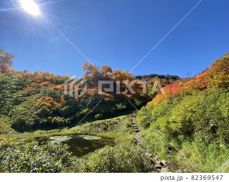 大雪高原沼 登山道からの紅葉風景 大雪高原沼 登山道からの紅葉風景 82369547