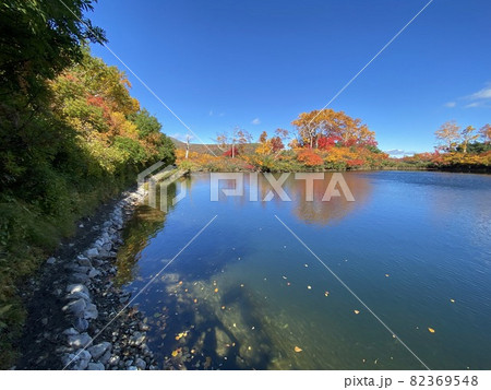 大雪高原沼 登山道からの紅葉風景 大雪高原沼 登山道からの紅葉風景 82369548