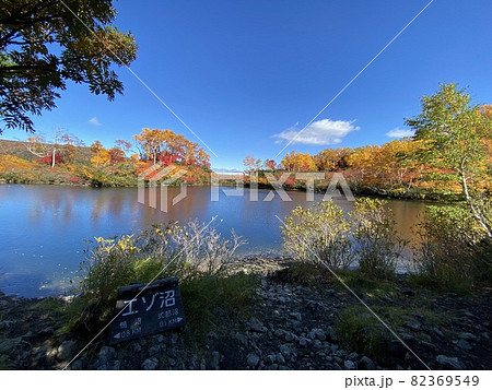 大雪高原沼 登山道からの紅葉風景 大雪高原沼 登山道からの紅葉風景 82369549