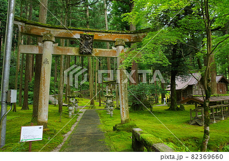 日用苔の里　日用神社　石川県小松市日用町 82369660