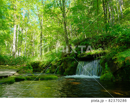 大雪旭岳源水 大雪旭岳源水 82370286