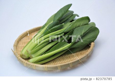 小松菜 小松菜 82370785